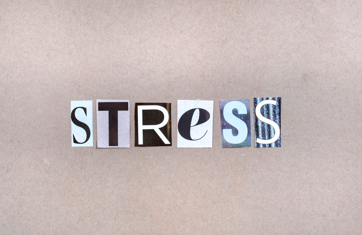 Le cortisol : stop aux idées reçues sur l’hormone du stress